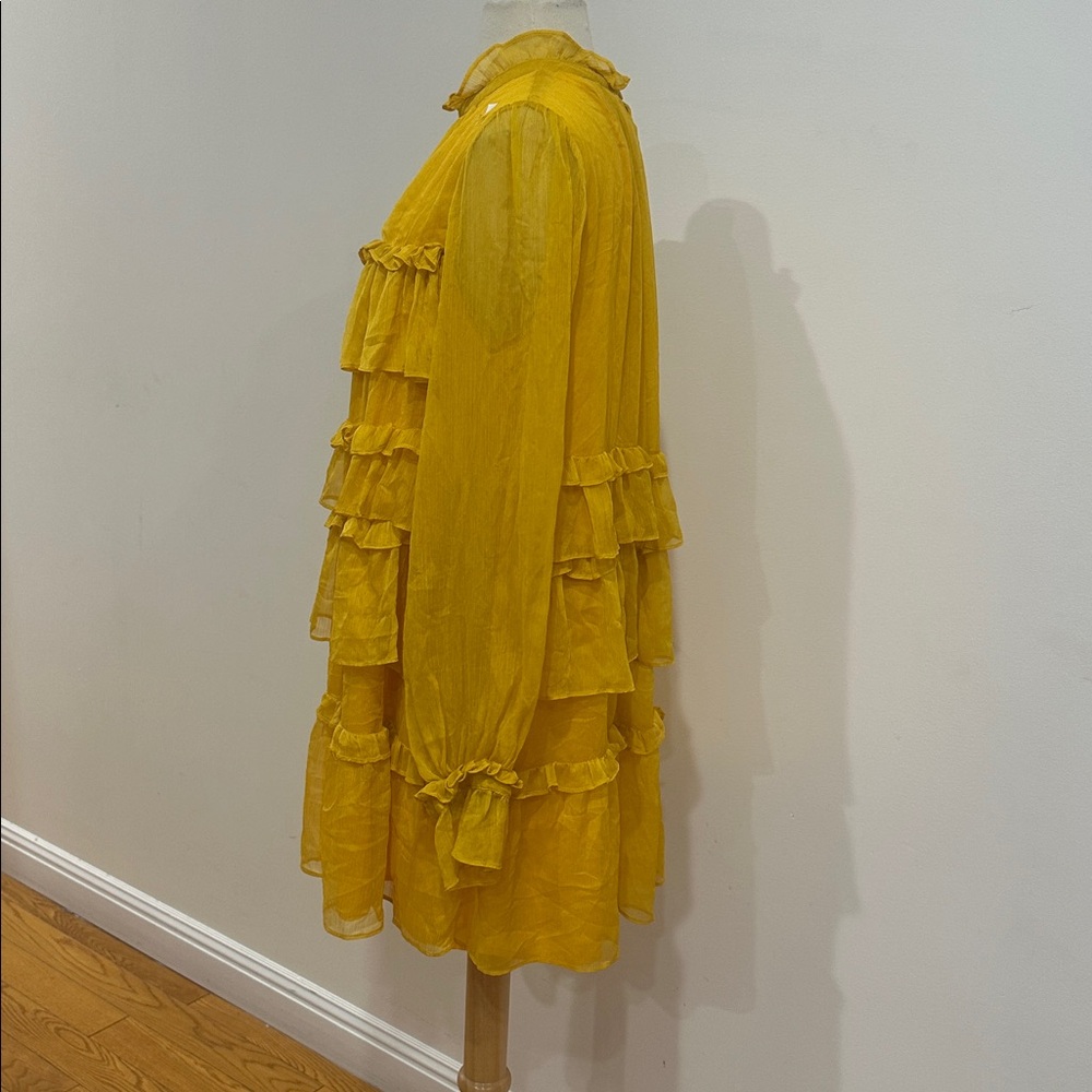 Adam Lippes x RTR Tiered ruffle dress size: 6 - Picture 7 of 11